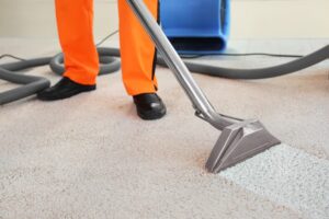 Professional Carpet Cleaning Services